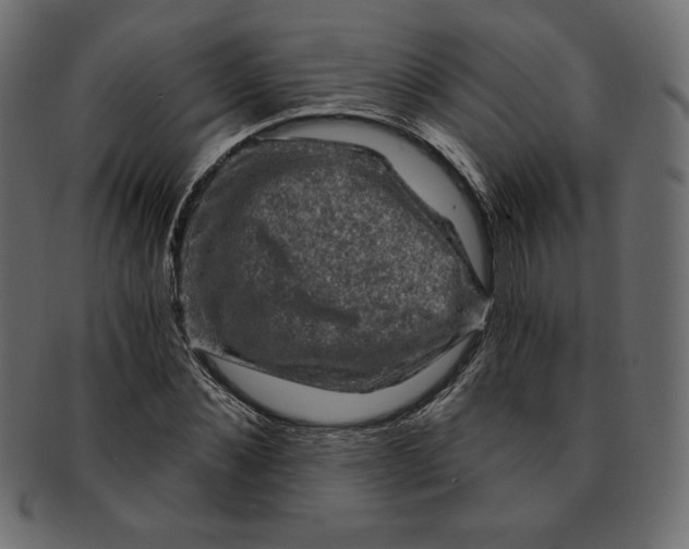 X0000091850876200709261205