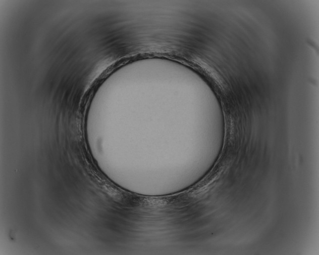 X0000091850878200709261205