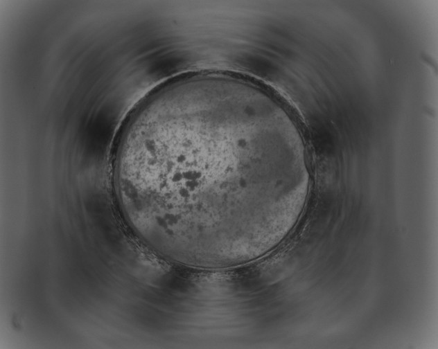 X0000091850879200709261205