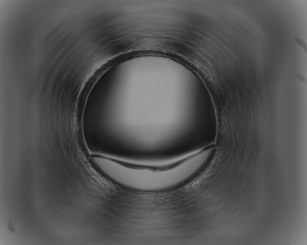 X0000091850880200709261205