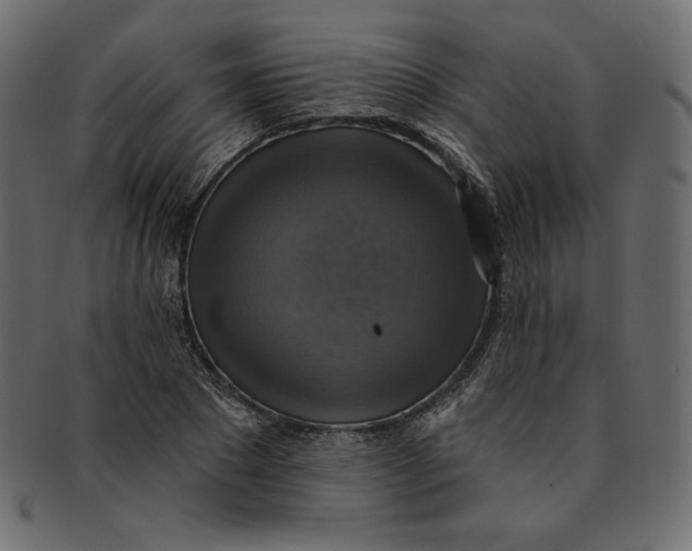 X0000091850881200709261205