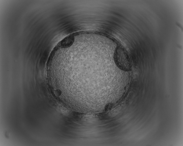 X0000091850883200709261205