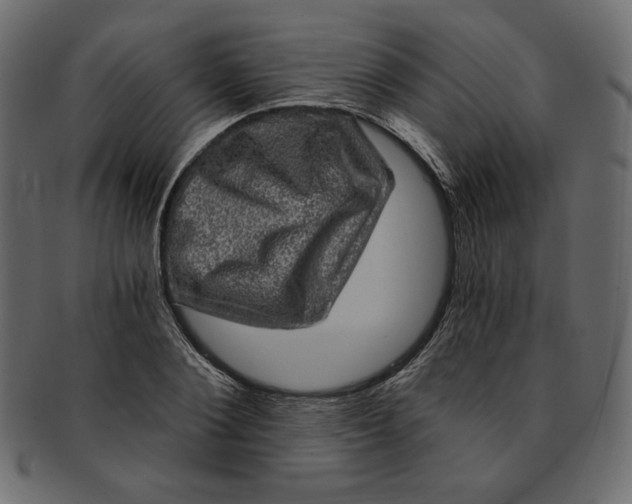 X0000091850884200709261205