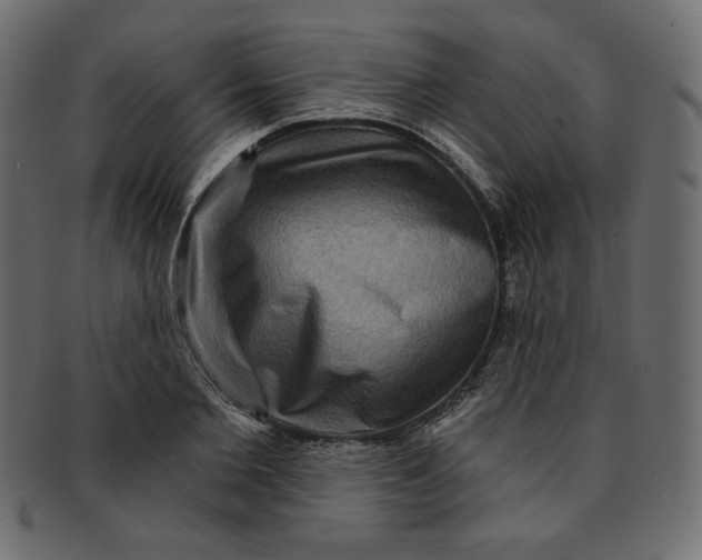 X0000091850885200709261205