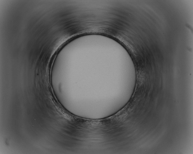 X0000091850886200709261205