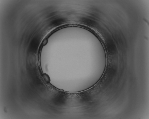 X0000091850887200709261205