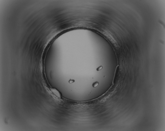 X0000091850888200709261205