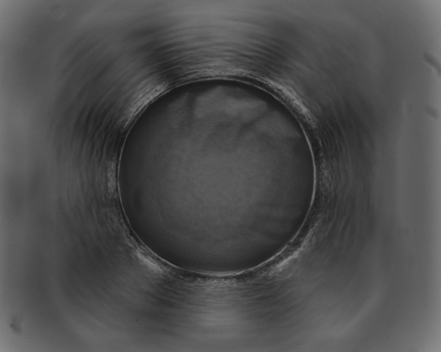 X0000091850889200709261205