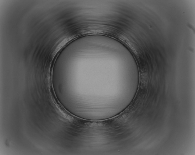 X0000091850890200709261205