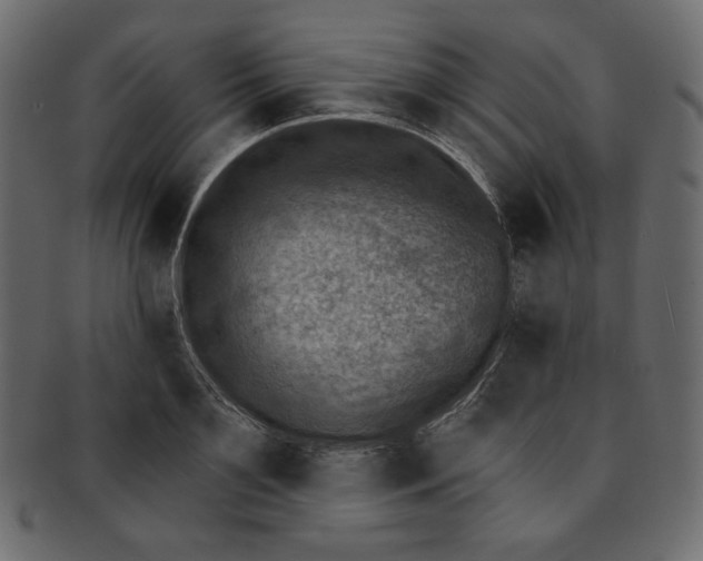 X0000091850891200709261205