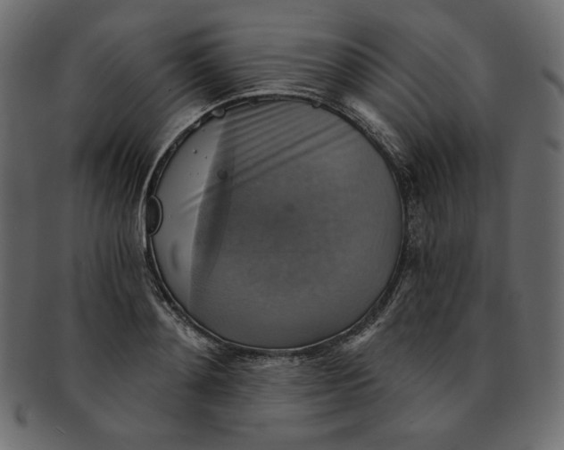 X0000091850892200709261205