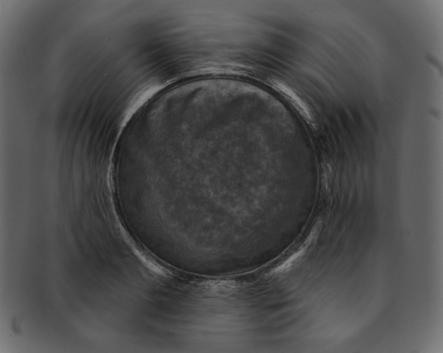 X0000091850893200709261205