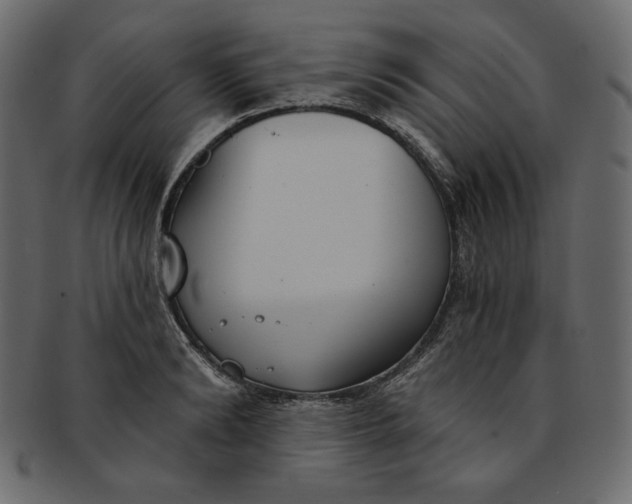 X0000091850894200709261205