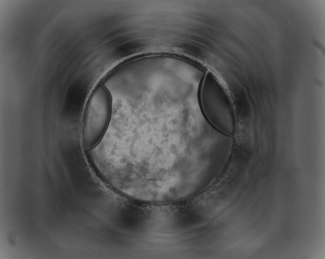 X0000091850895200709261205