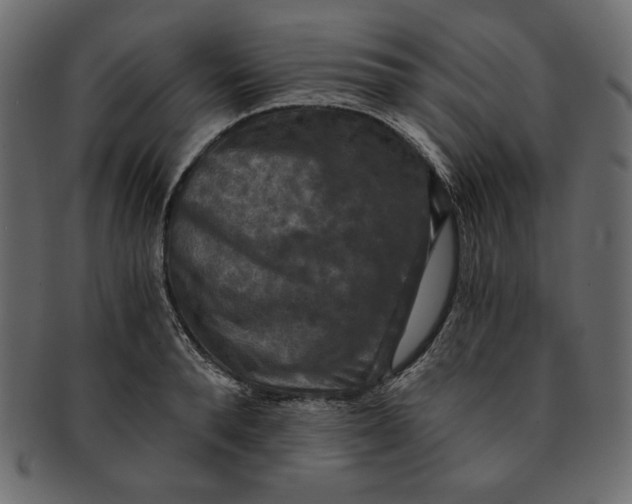 X0000091850896200709261205