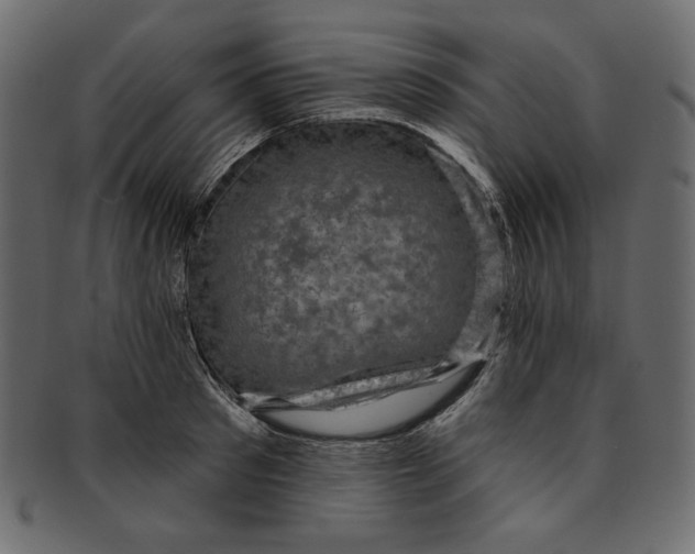 X0000091850897200709261205