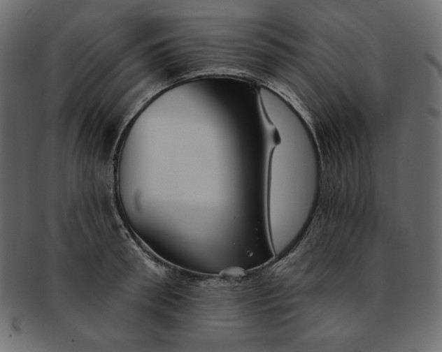 X0000091850898200709261205