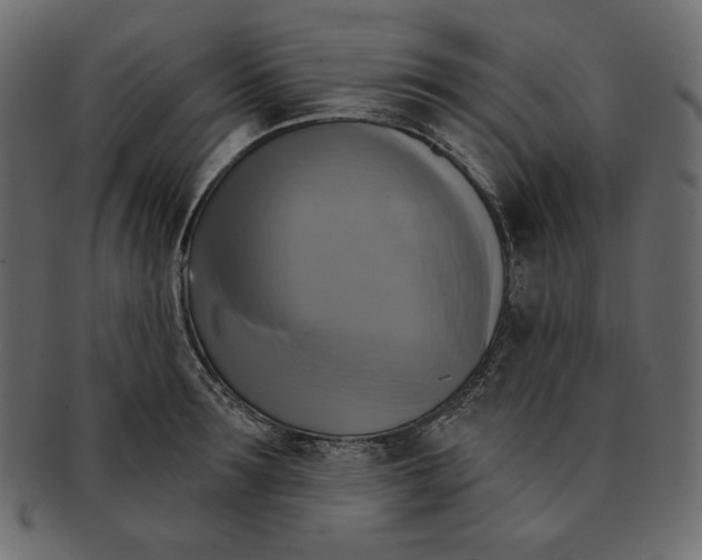 X0000091850899200709261205