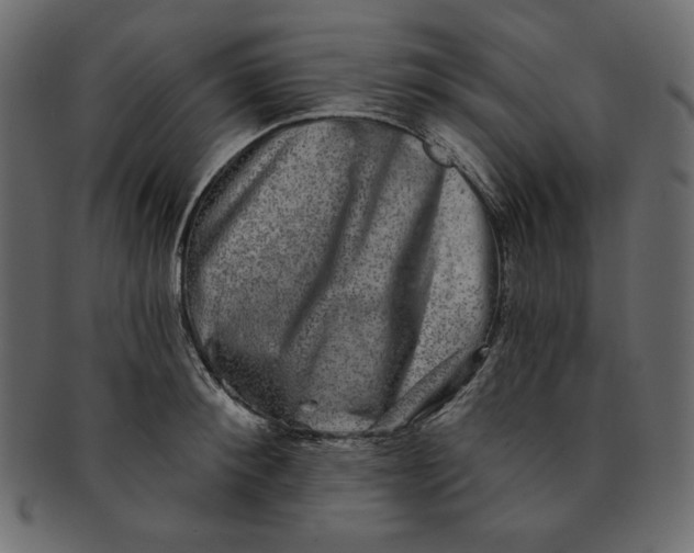 X0000091850900200709261205