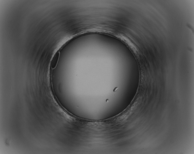 X0000091850902200709261205