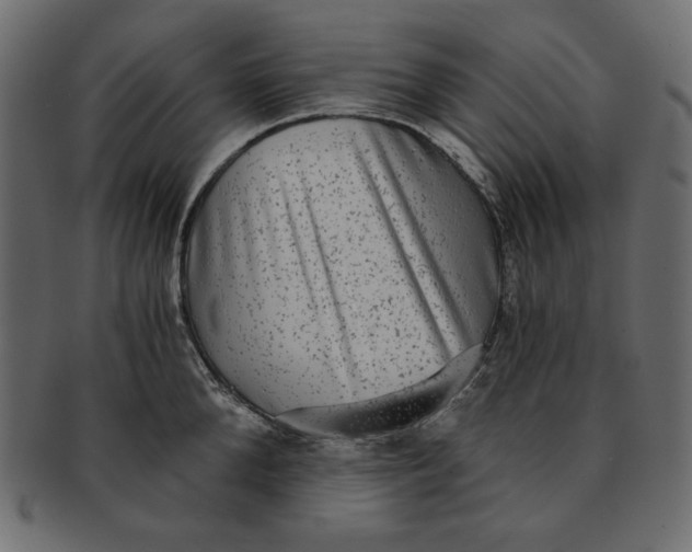 X0000091850904200709261205