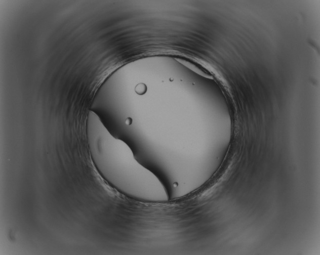 X0000091850905200709261205