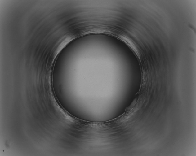 X0000091850906200709261205