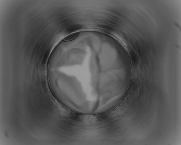 X0000091850907200709261205