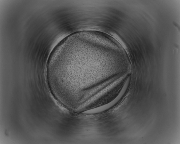 X0000091850909200709261205