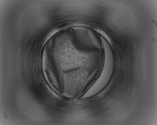 X0000091850910200709261205