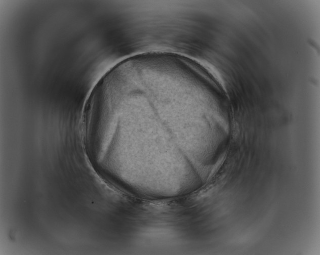 X0000091850911200709261205