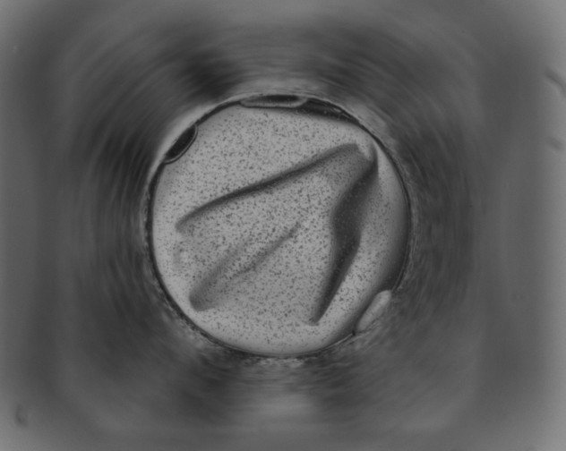 X0000091850912200709261205