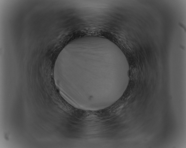 X0000091850913200709261204