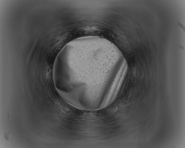 X0000091850914200709261204