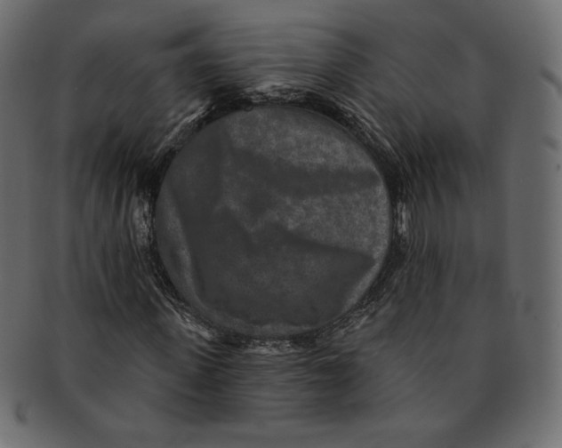 X0000091850915200709261204