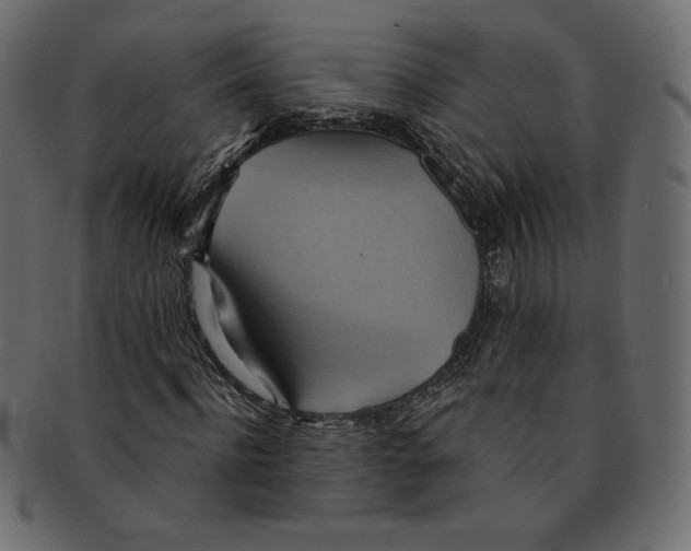 X0000091850916200709261204