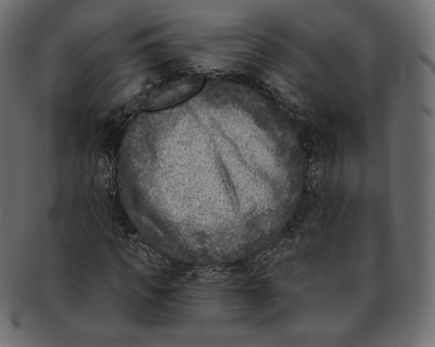 X0000091850917200709261204