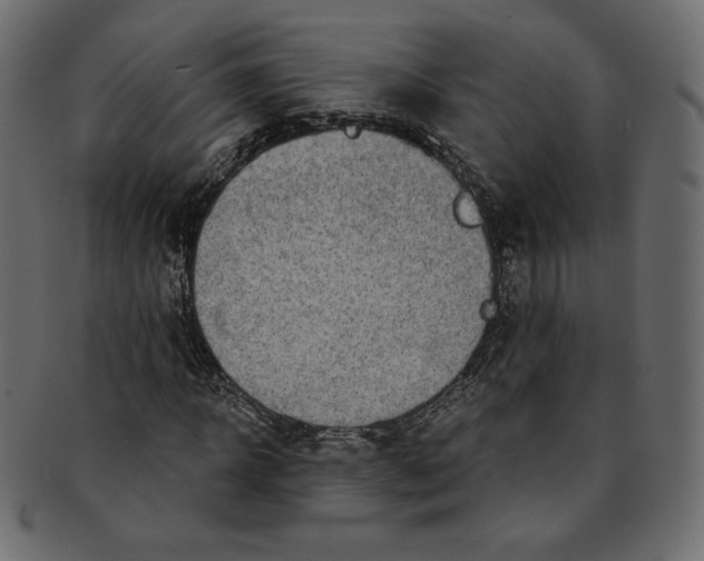 X0000091850918200709261204