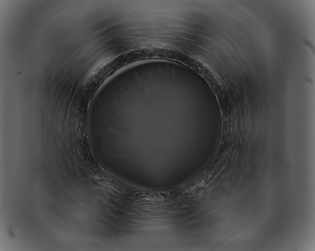 X0000091850919200709261204