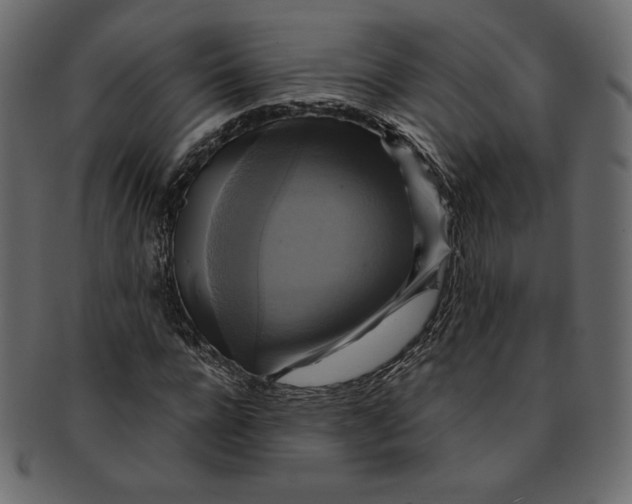 X0000091850920200709261204