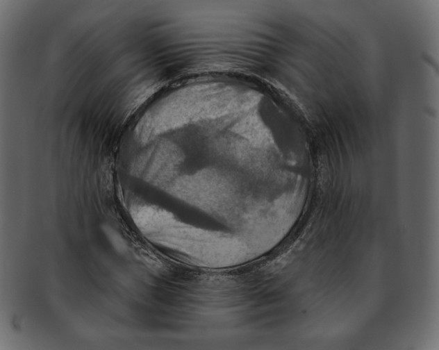 X0000091850921200709261204