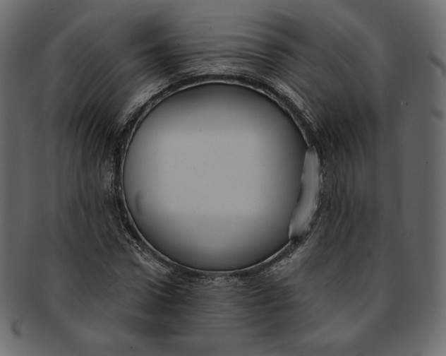 X0000091850922200709261204