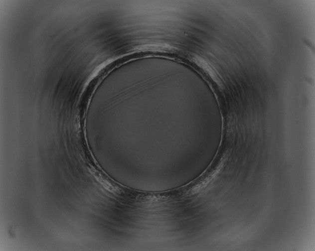 X0000091850923200709261204