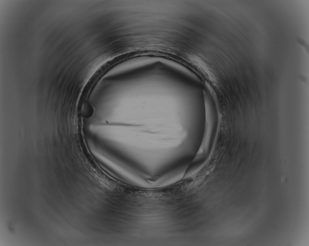 X0000091850924200709261204