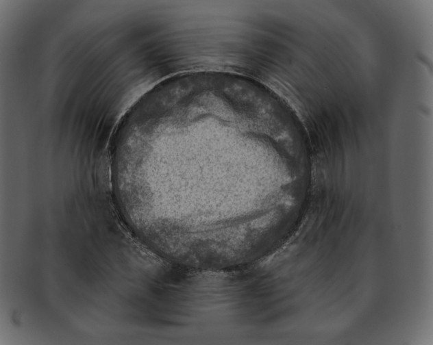 X0000091850925200709261204