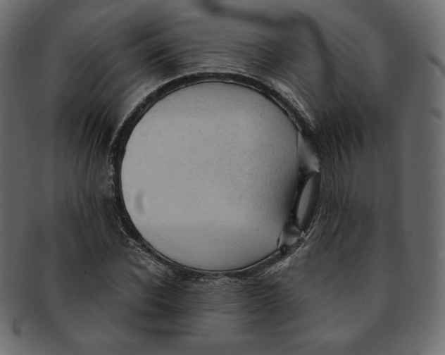 X0000091850926200709261204