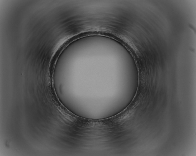 X0000091850927200709261204