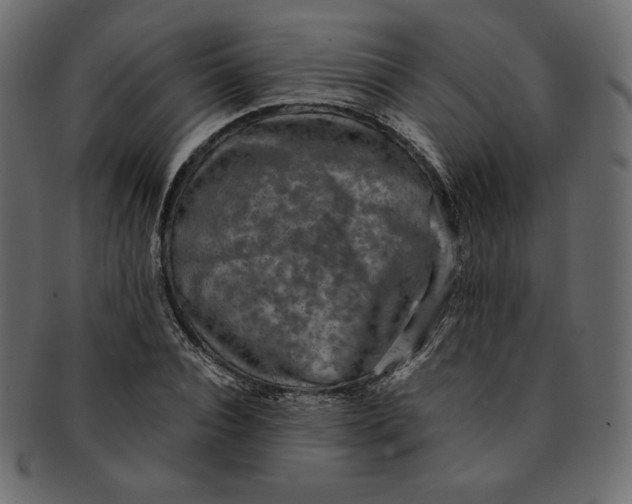 X0000091850928200709261204