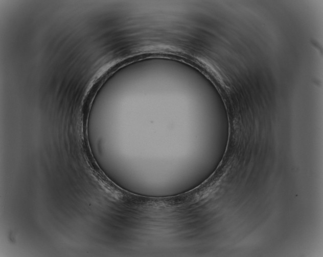 X0000091850931200709261204