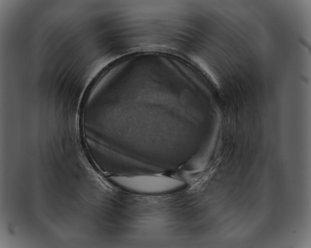 X0000091850932200709261204